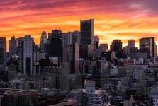 成人免费视频播放-与网络伦理，理性审视与自我保护