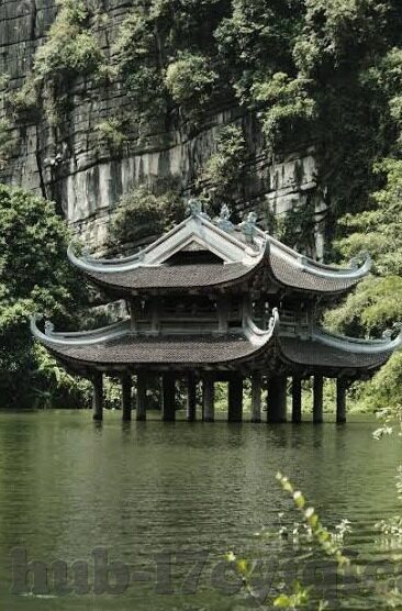 大象传媒官网是什么-大象传媒官网，数字时代的文化传播新阵地